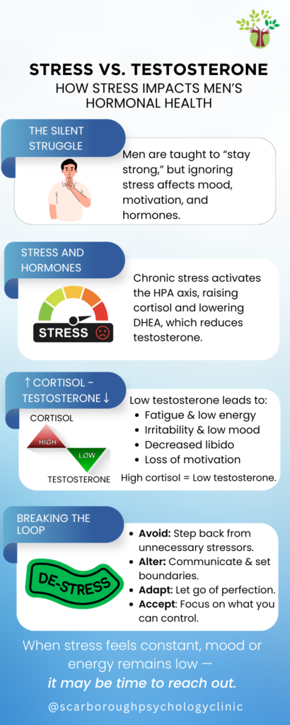Stress vs. Testosterone: How Stress Impacts Men’s Hormonal Health.” Visual sections explain how chronic stress raises cortisol and lowers testosterone, leading to fatigue, irritability, low libido, and motivation loss. Includes the 4 A’s of stress relief — Avoid, Alter, Adapt, Accept — and encourages men to seek support when stress feels constant.