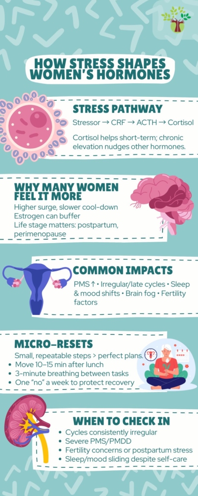 stress and women’s hormones infographic: hpa axis, pms, irregular cycles, fertility, sleep/mood, micro-resets, when to seek help