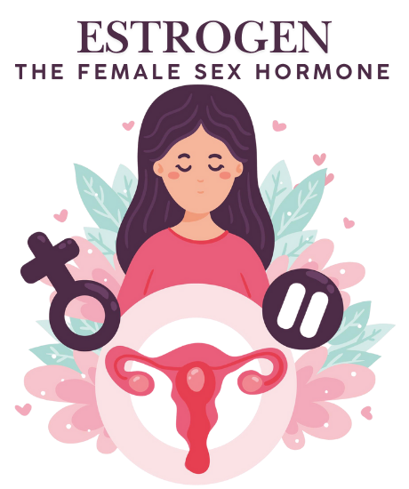 estrogen and stress in women: higher estrogen calms the HPA axis and reduces active cortisol