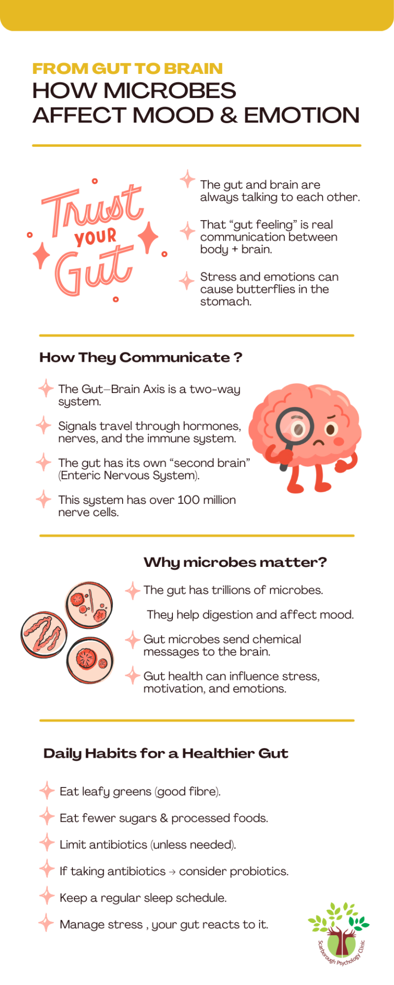 Infographic explaining the brain gut connection, showing how gut microbes communicate with the brain to influence mood, emotions, stress, and mental health.
