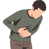 brain gut connection